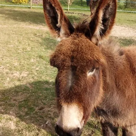 La Pastorale Panzió